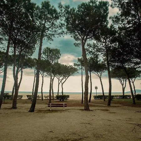 T2 Les Pieds Dans L'eau A Apartment Argeles-sur-Mer