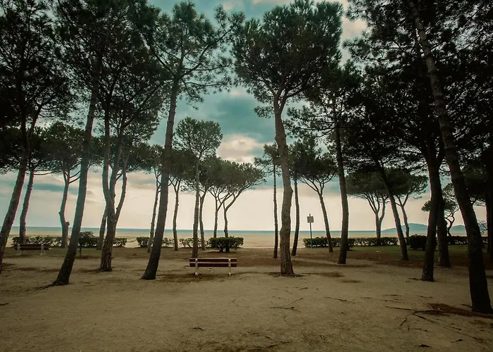 T2 Les Pieds Dans L'eau A Apartment Argelès-sur-Mer